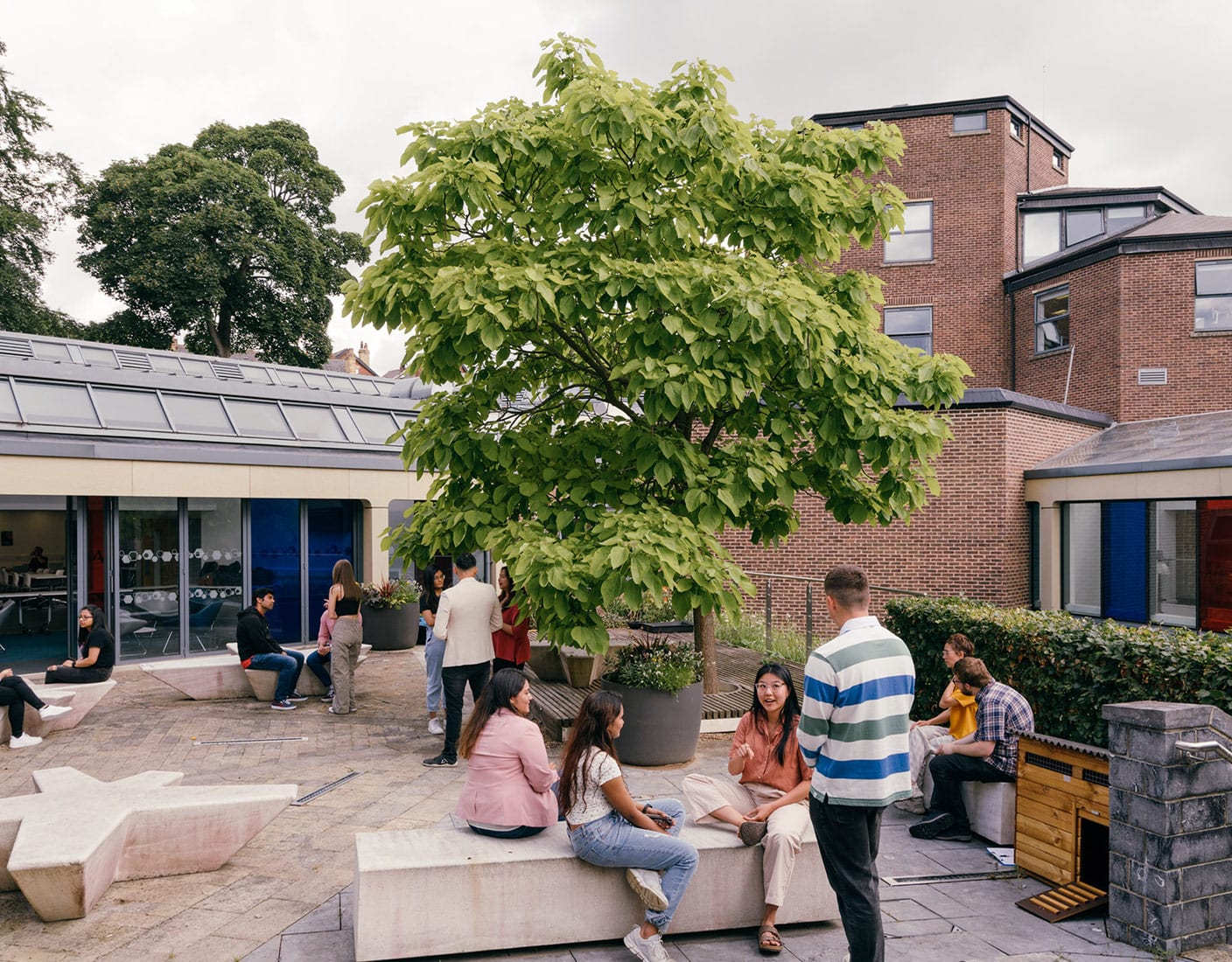 Groups of students converse while sitting on benches in a university courtyard surrounded by trees.